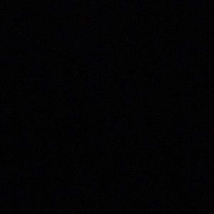 Meet your Posher, Dalonnie